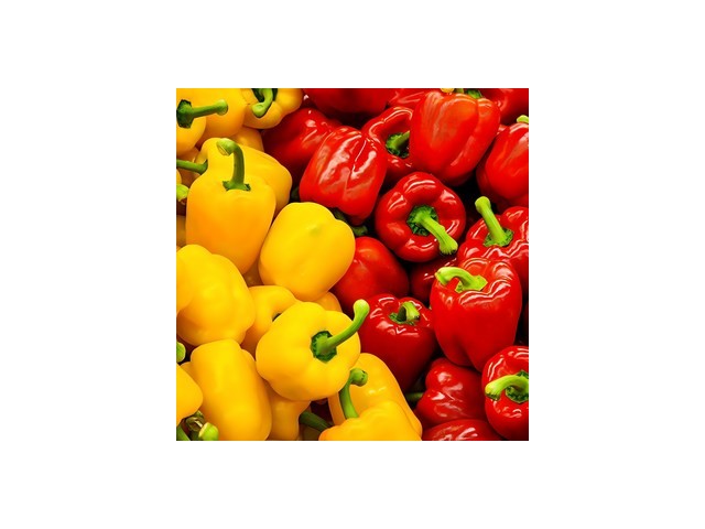 파프리카1키로 최저가로 만나볼 수 있는 혜택