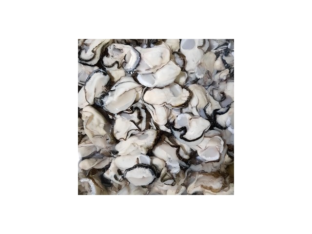 이순신수산굴 추천: 최저가로 득템할 수 있는 제품